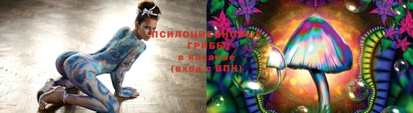 дурь Наволоки