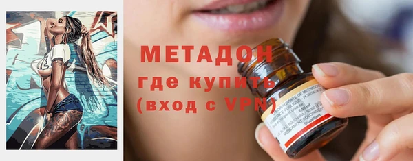 шишки Надым