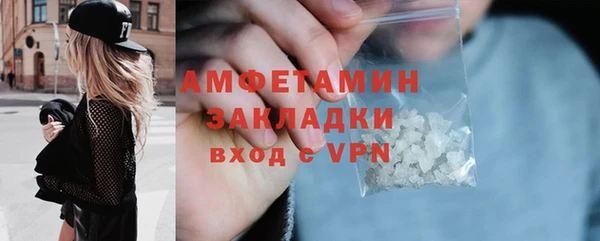 шишки Надым
