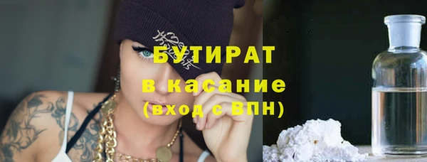шишки Надым