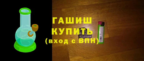 шишки Надым