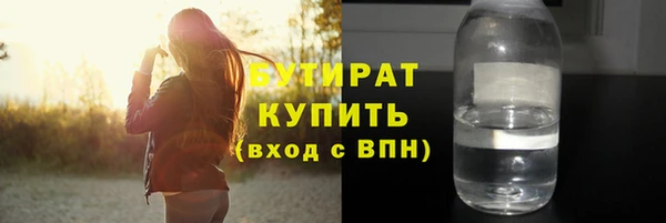 шишки Надым