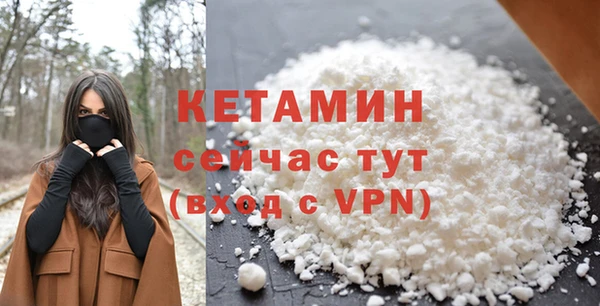 шишки Надым