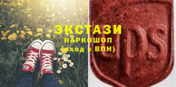 шишки Надым
