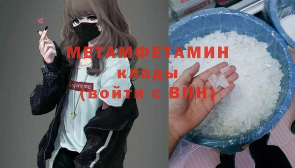 шишки Надым