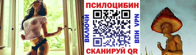 как найти закладки  Краснозаводск  Галлюциногенные грибы прущие грибы 